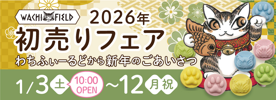 1��3������12���܂ł�3300�~�ȏエ�����グ�̕��փm�x���e�B���v���[���g�I